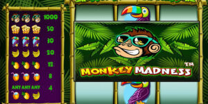 Monkey Madness Petualangan Kebun Binatang Keseruan