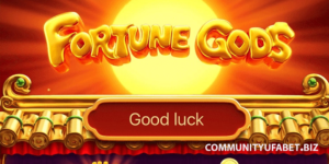 Fortune Gods