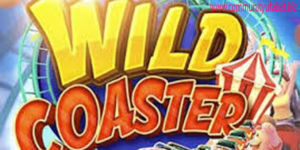 RTP Wild Coaster Terbaru