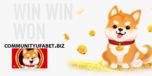 win win won